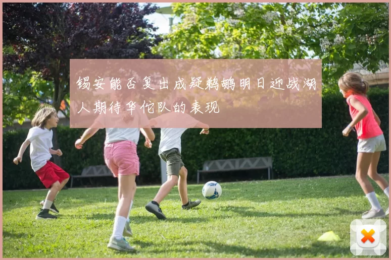 锡安能否复出成疑鹈鹕明日迎战湖人期待华佗队的表现