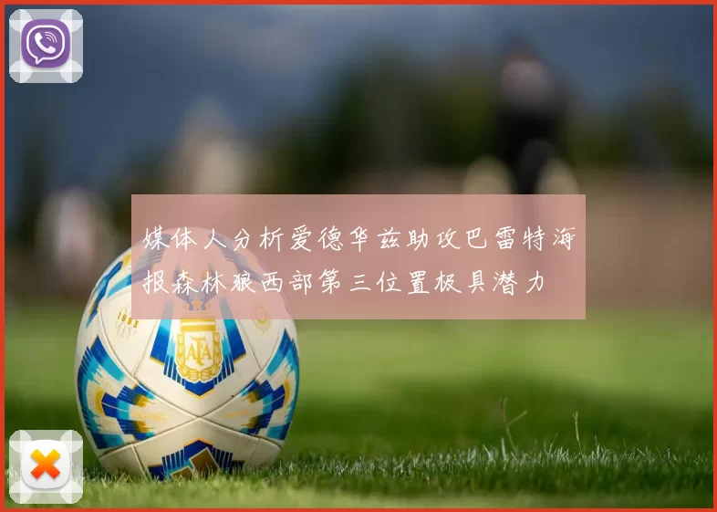 媒体人分析爱德华兹助攻巴雷特海报森林狼西部第三位置极具潜力
